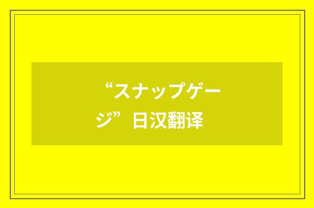 “スナップゲージ”日汉翻译