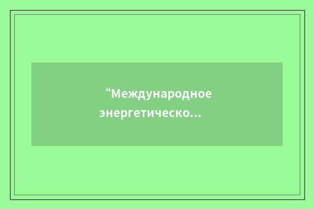 “Международное энергетическое агентство”俄汉翻译