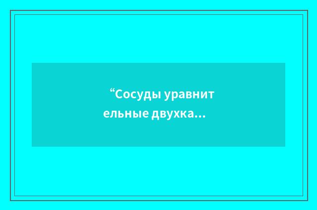 “Сосуды уравнительные двухкамерные”俄汉翻译