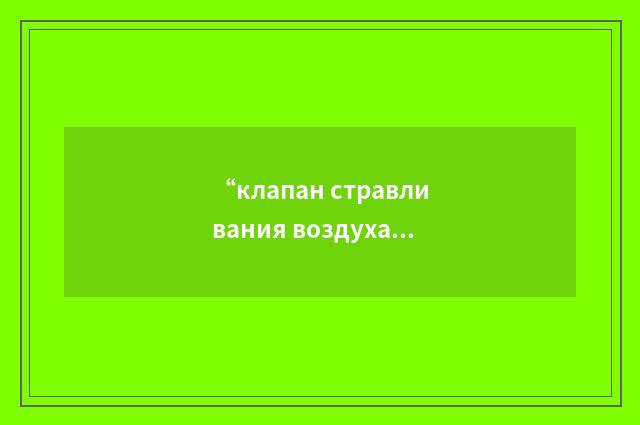 “клапан стравливания воздуха из топливной магистрали”俄汉翻译