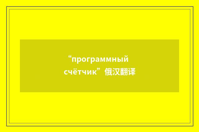 “программный счётчик”俄汉翻译