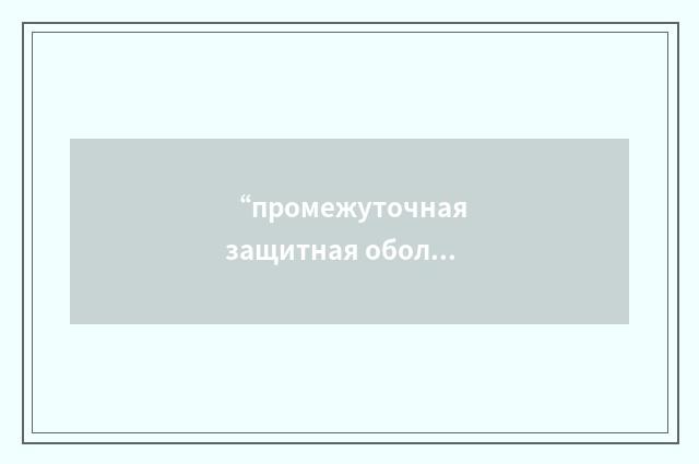 “промежуточная защитная оболочка”俄汉翻译