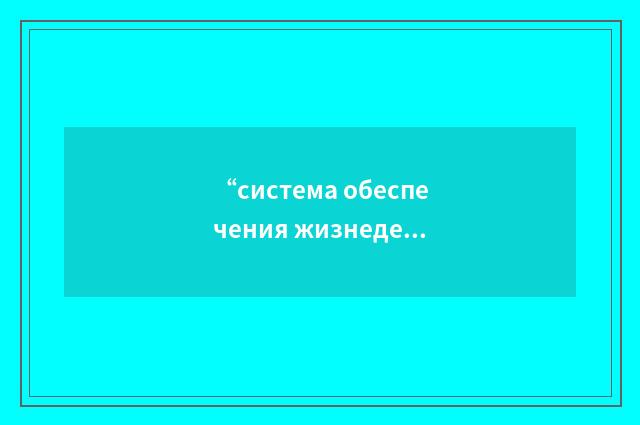 “система обеспечения жизнедеятельности”俄汉翻译