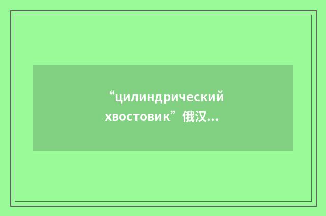 “цилиндрический хвостовик”俄汉翻译