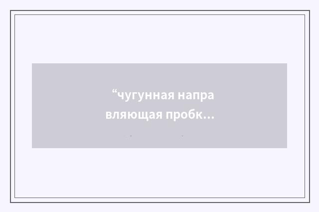 “чугунная направляющая пробка”俄汉翻译