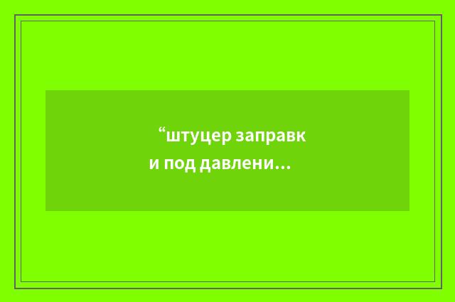 “штуцер заправки под давлением”俄汉翻译