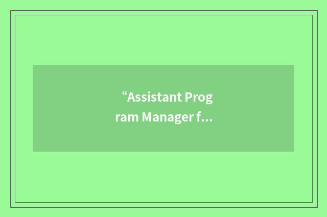 “Assistant Program Manager for System Engineering”缩略