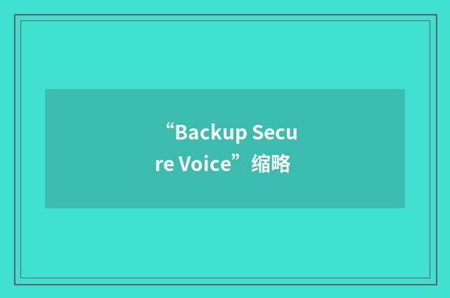 “Backup Secure Voice”缩略