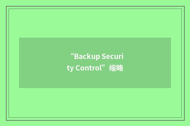 “Backup Security Control”缩略