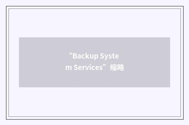 “Backup System Services”缩略