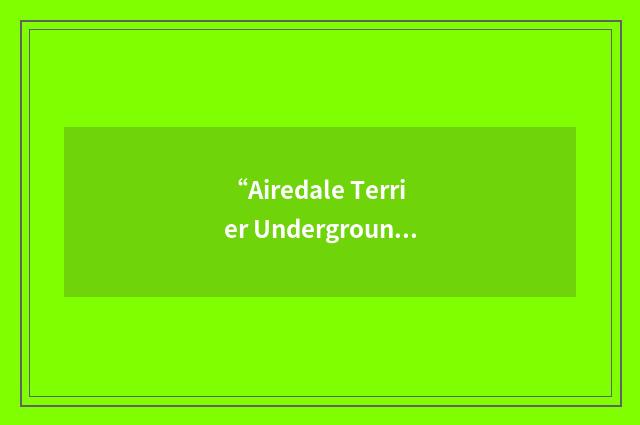 “Airedale Terrier Underground Railroad”缩略
