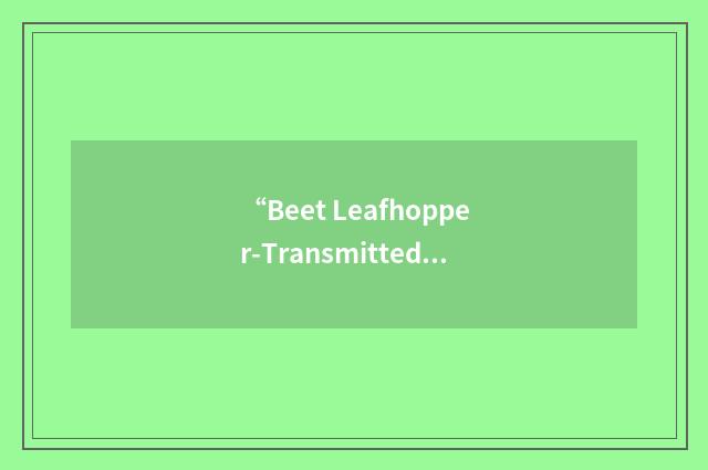 “Beet Leafhopper-Transmitted Virescence Agent”缩略