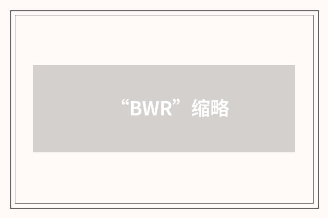 “BWR”缩略