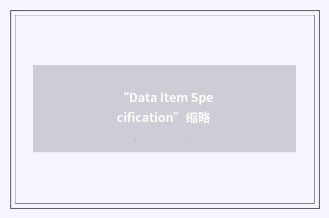 “Data Item Specification”缩略
