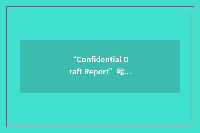 “Confidential Draft Report”缩略