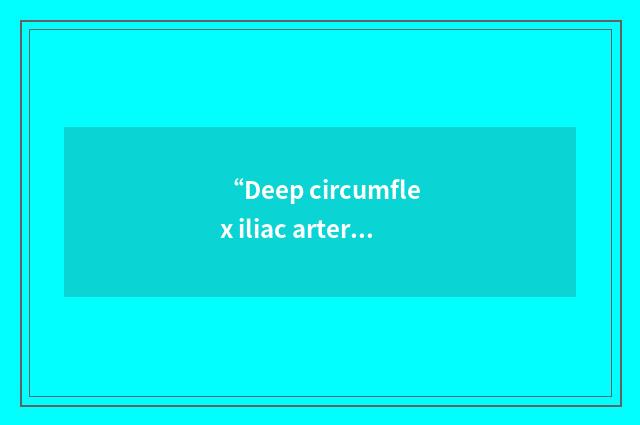 “Deep circumflex iliac artery”缩略