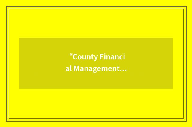 “County Financial Management System”缩略