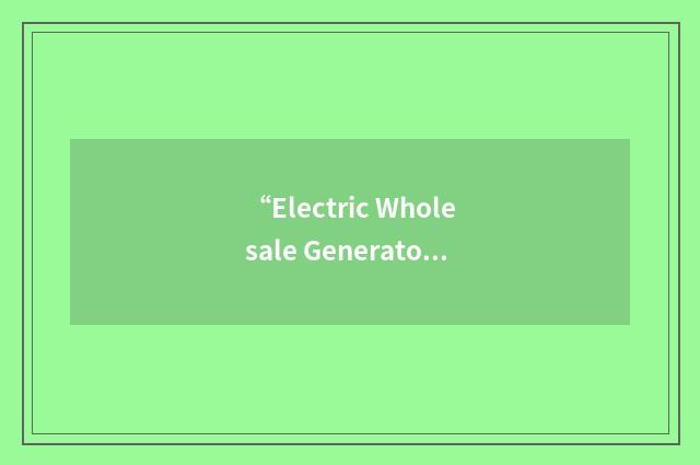 “Electric Wholesale Generator”缩略