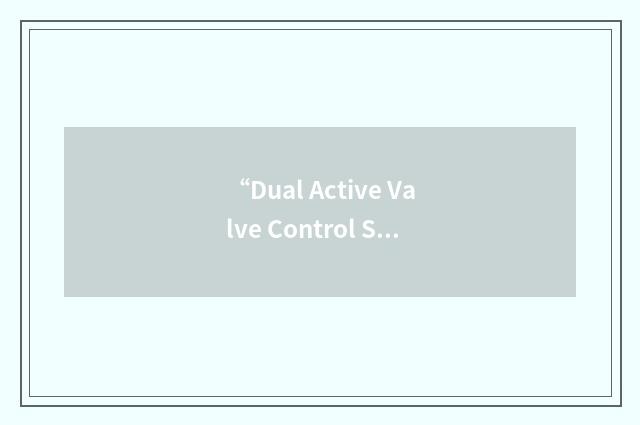 “Dual Active Valve Control System”缩略