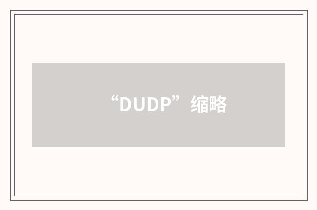 “DUDP”缩略