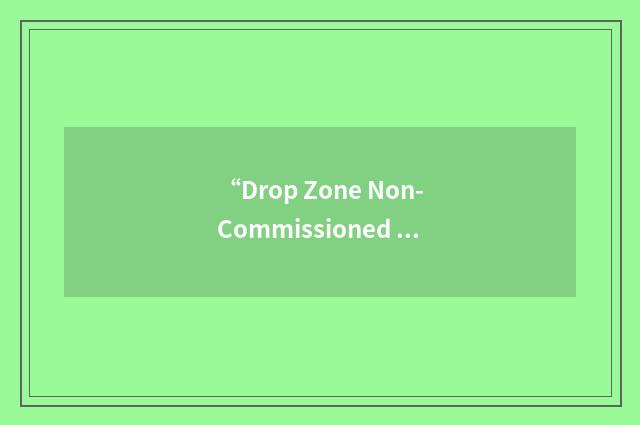 “Drop Zone Non-Commissioned Officer”缩略