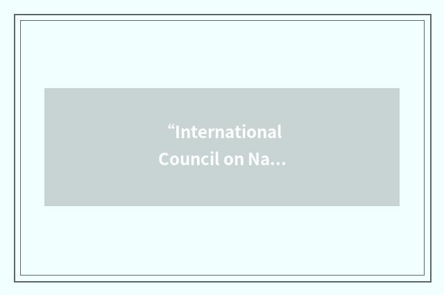 “International Council on Nanotechnology”缩略