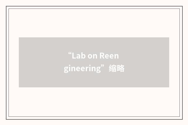 “Lab on Reengineering”缩略