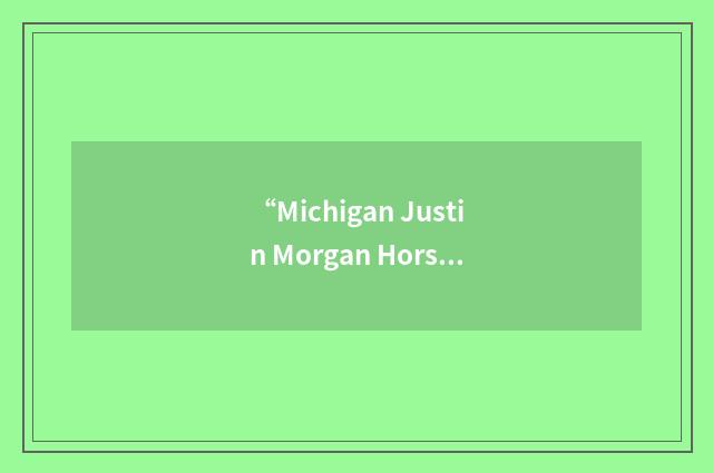“Michigan Justin Morgan Horse Association”缩略
