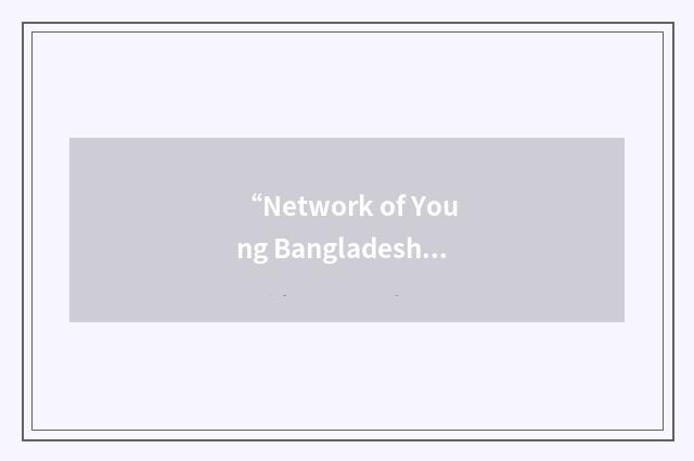 “Network of Young Bangladeshi-American Professionals”缩略