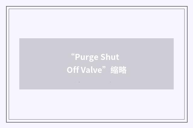 “Purge Shut Off Valve”缩略