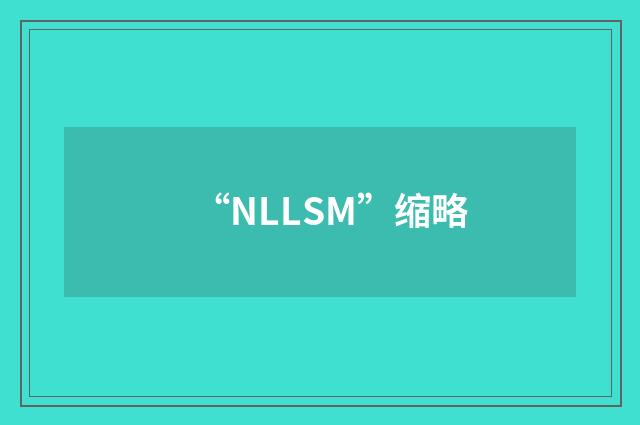 “NLLSM”缩略