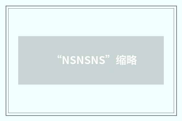 “NSNSNS”缩略