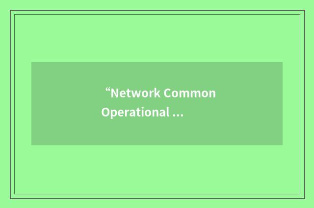 “Network Common Operational Picture”缩略