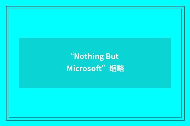 “Nothing But Microsoft”缩略