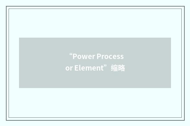 “Power Processor Element”缩略