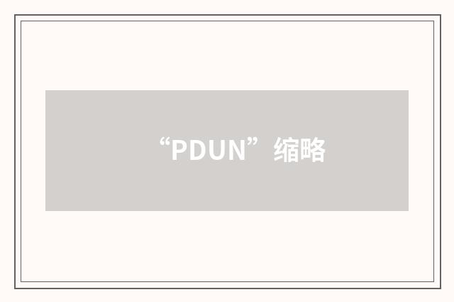 “PDUN”缩略