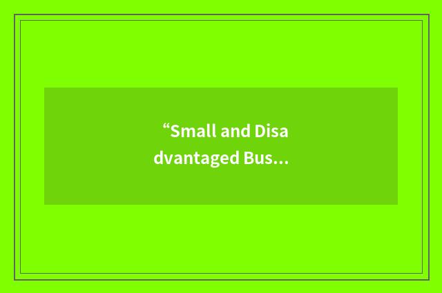 “Small and Disadvantaged Business Advisor”缩略