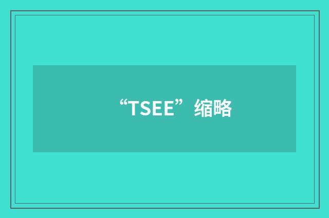 “TSEE”缩略