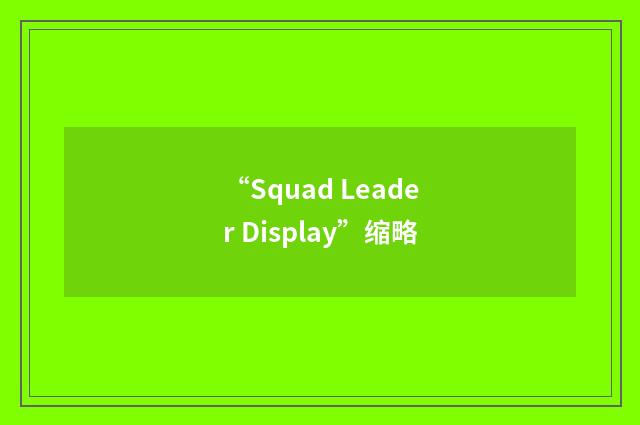 “Squad Leader Display”缩略