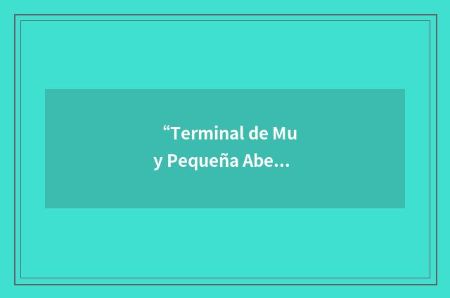 “Terminal de Muy Pequeña Abertura”缩略