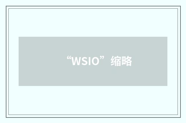 “WSIO”缩略