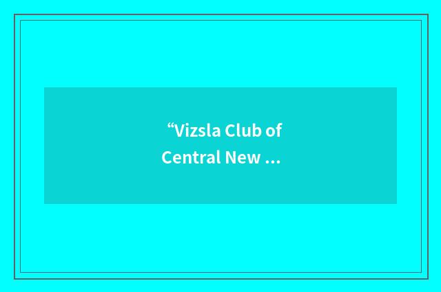 “Vizsla Club of Central New England”缩略