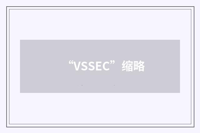 “VSSEC”缩略