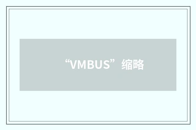 “VMBUS”缩略