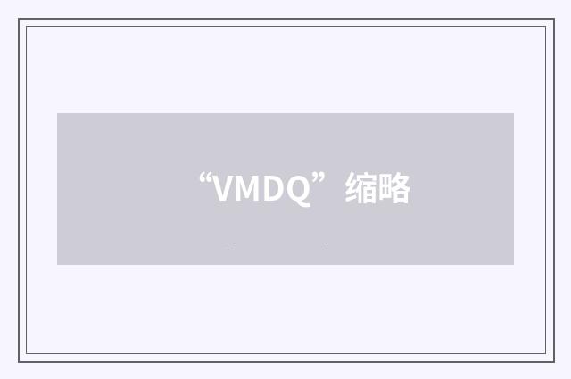 “VMDQ”缩略