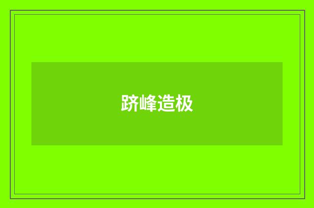跻峰造极