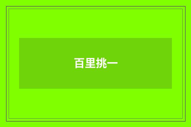 百里挑一