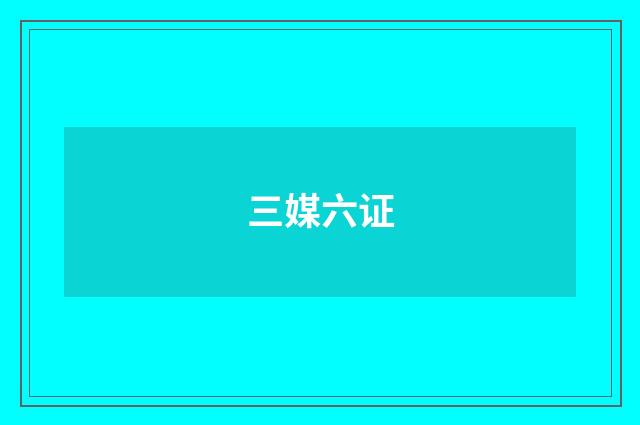 三媒六证