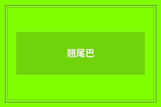 翘尾巴