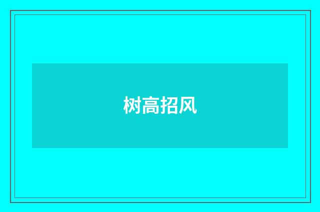 树高招风